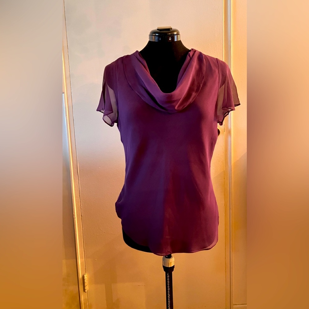 Beautiful sheer short-sleeve blouse with delicate dropped ruched neckline